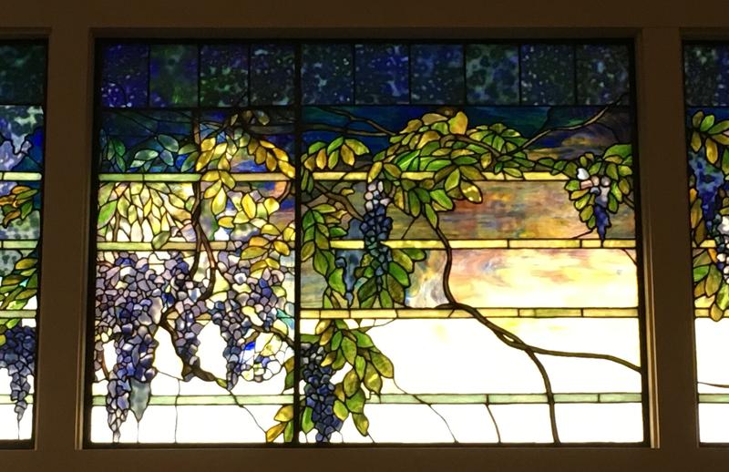 Wisteria